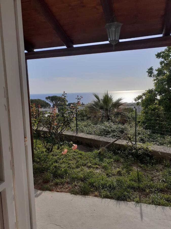 La Terrazzina Sul Tramonto Bed and Breakfast Forio di Ischia Exteriör bild